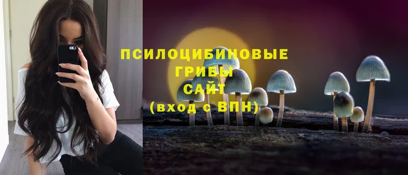 Галлюциногенные грибы Cubensis  omg сайт  Кукмор  как найти  